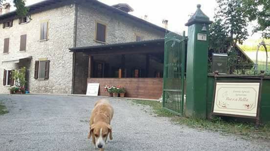 Agriturismo Nonna Nella. 